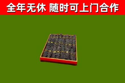 六合回收海参
